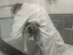 -嘉馨宠物医院·CT影像转诊·心脏科·犬猫全科诊疗中心(下沙大学城院区)