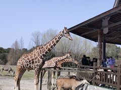 -宁波野生动物园