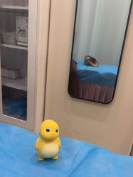 -北京米扬丽格医疗美容·联合丽格鼻整形中心