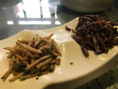 -慢丽江·云南野生菌土鸡锅(西山店)