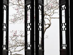 -耦园