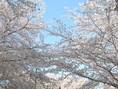 -苏州上方山国家森林公园