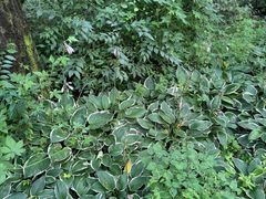 -长春市南湖公园