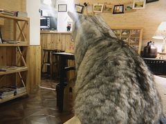 -隅cafe(傅厚岗店)