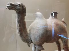 -敦煌市博物馆