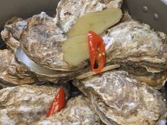 -千岛蚝高压锅生蚝·人参火锅(白云万达店)