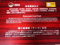 -莲池书院博物馆