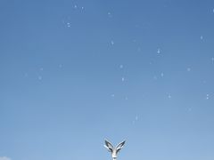 -海埂大坝
