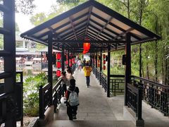 -侨美·唐荔园·40年地道粤菜