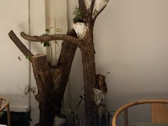 -纳地素食(石门公园店)