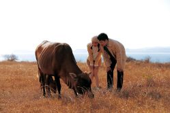 -绿皮火车照相馆 婚纱照旅拍(厦门店)