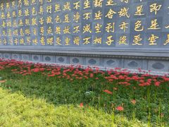 -天龙宝严素食馆(大兴善寺店)
