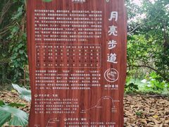-华侨城湿地公园