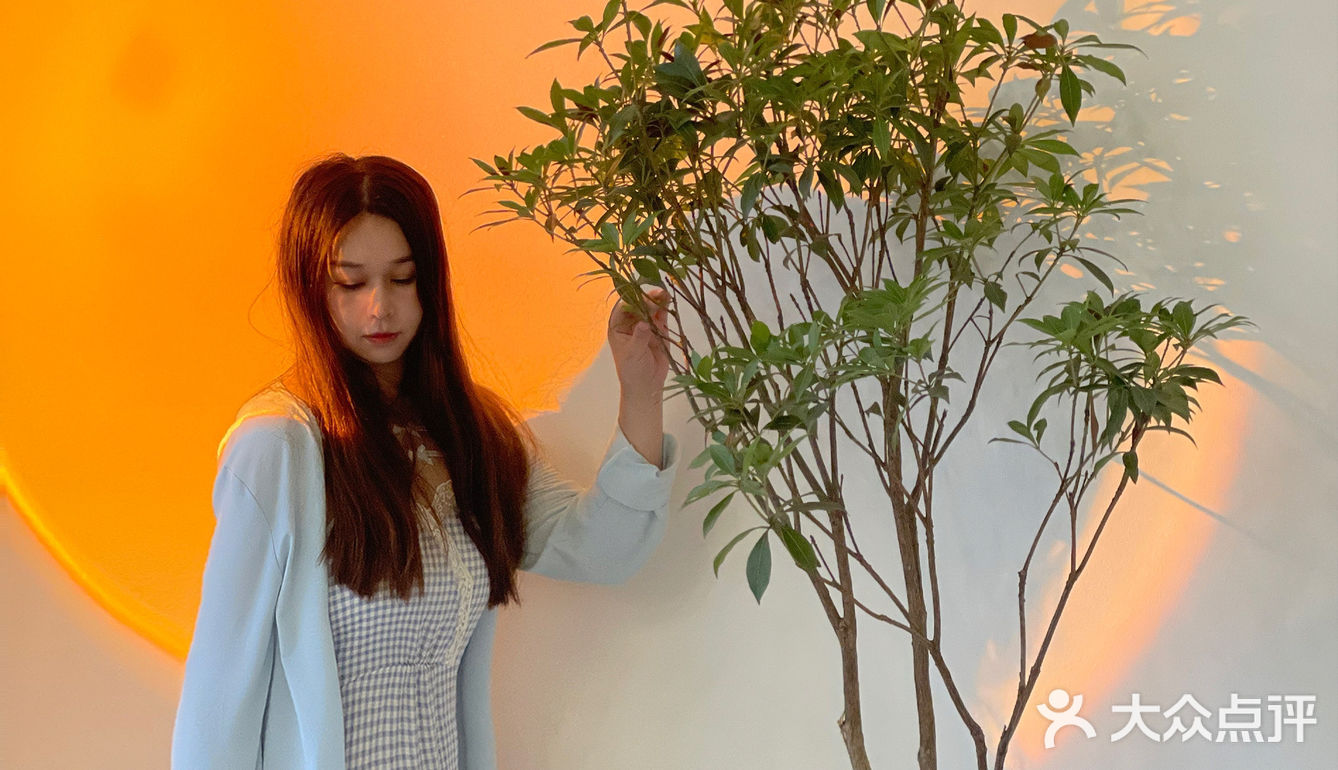 杭州凤凰山景区可以撸猫的咖啡馆超赞