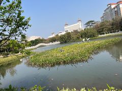 -映月湖公园