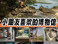 -辽宁古生物博物馆