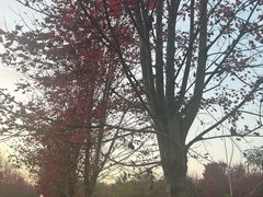 -南京枫彩漫城