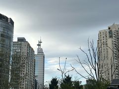 -凯德MALL(望京店)