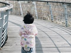 -西湖风景区-江洋畈生态公园