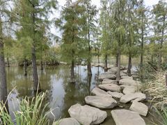 -上海长兴岛郊野公园
