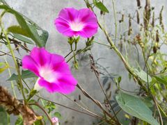 -百里峡七彩艺术小镇