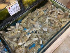 -小铜锣湾海鲜家常菜馆(河西店)