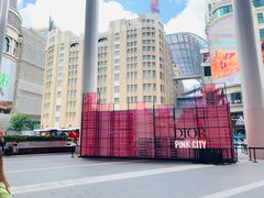 -Dior迪奥(上海世茂广场店)