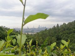 -火炉山森林公园
