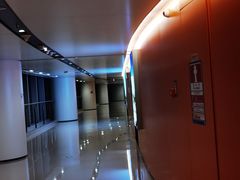 -深圳市体育中心体育馆主馆