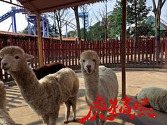 -国色天乡三期陆地乐园