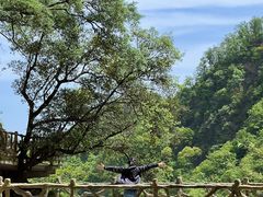 -洛阳白云山景区