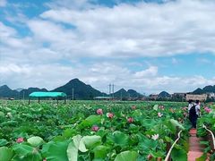 -莒县世起全羊馆(塔桥人家店)