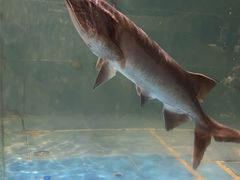 -漓江又一軒·广西菜·桂林米粉(梅林店)