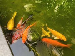 -漫笙舍Manse·咖啡·民宿