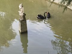 -棕榈岛海鲜自助餐厅(虹桥迎宾馆店)