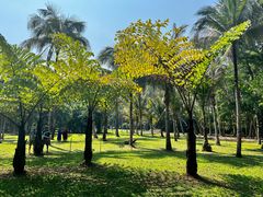 -中国科学院西双版纳热带植物园