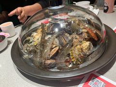 -大锅强·蒸海鲜青岛菜(吾悦广场店)