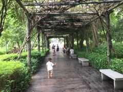 -大屏嶂森林公园