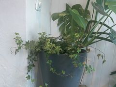 -北平花园·MUA摩造汉堡·北平咖啡(南锣鼓巷胡同店)