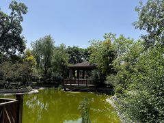 -成都安仁福朋喜来登酒店