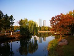 -尚贤河湿地