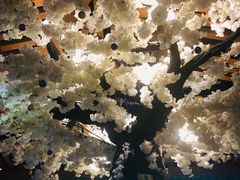 -木子塘汗蒸生活馆(财富港店)