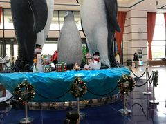 -喷泉广场餐厅·宵夜·海鲜烧烤大排档(长隆企鹅酒店)