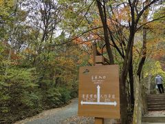 -本溪汤沟绿石谷森林公园