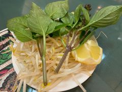 -鹏牛肉河粉