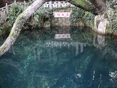 -蝴蝶泉公园