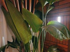 -泰合玺·精油疗愈SPA(狮山天街生活广场店)