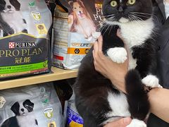 -帕帕拉兹宠物(亚洲旗舰店)