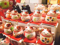 -猫咪博物馆(顶澳仔猫街店)