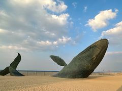 -烟台金沙滩海滨公园